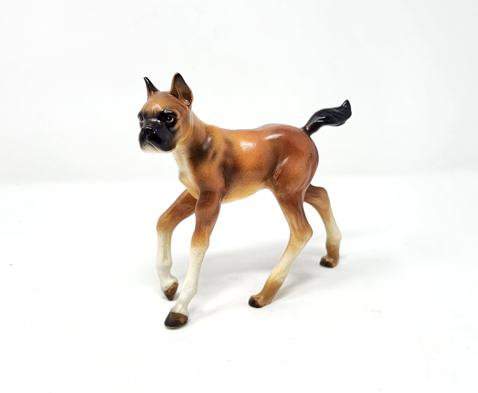 Boxer Horse