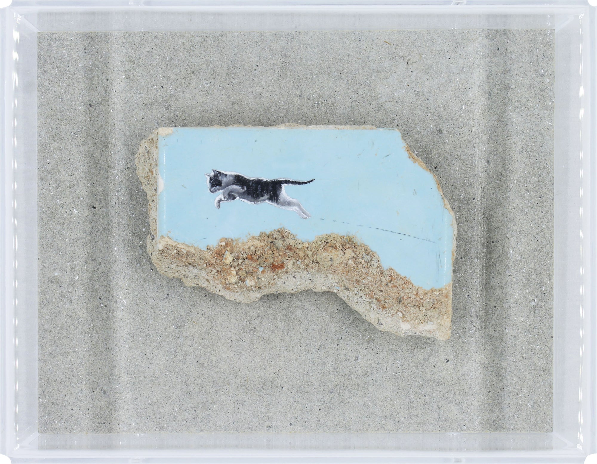 Framed artwork of a cat running on sand with water in the background
